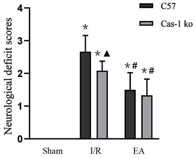 Mechanism of Electroacupuncture Against Cerebral Ischemia–Reperfusion Injury: Reducing Inflammatory Response and Cell Pyroptosis by Inhibiting NLRP3 and Caspase-1